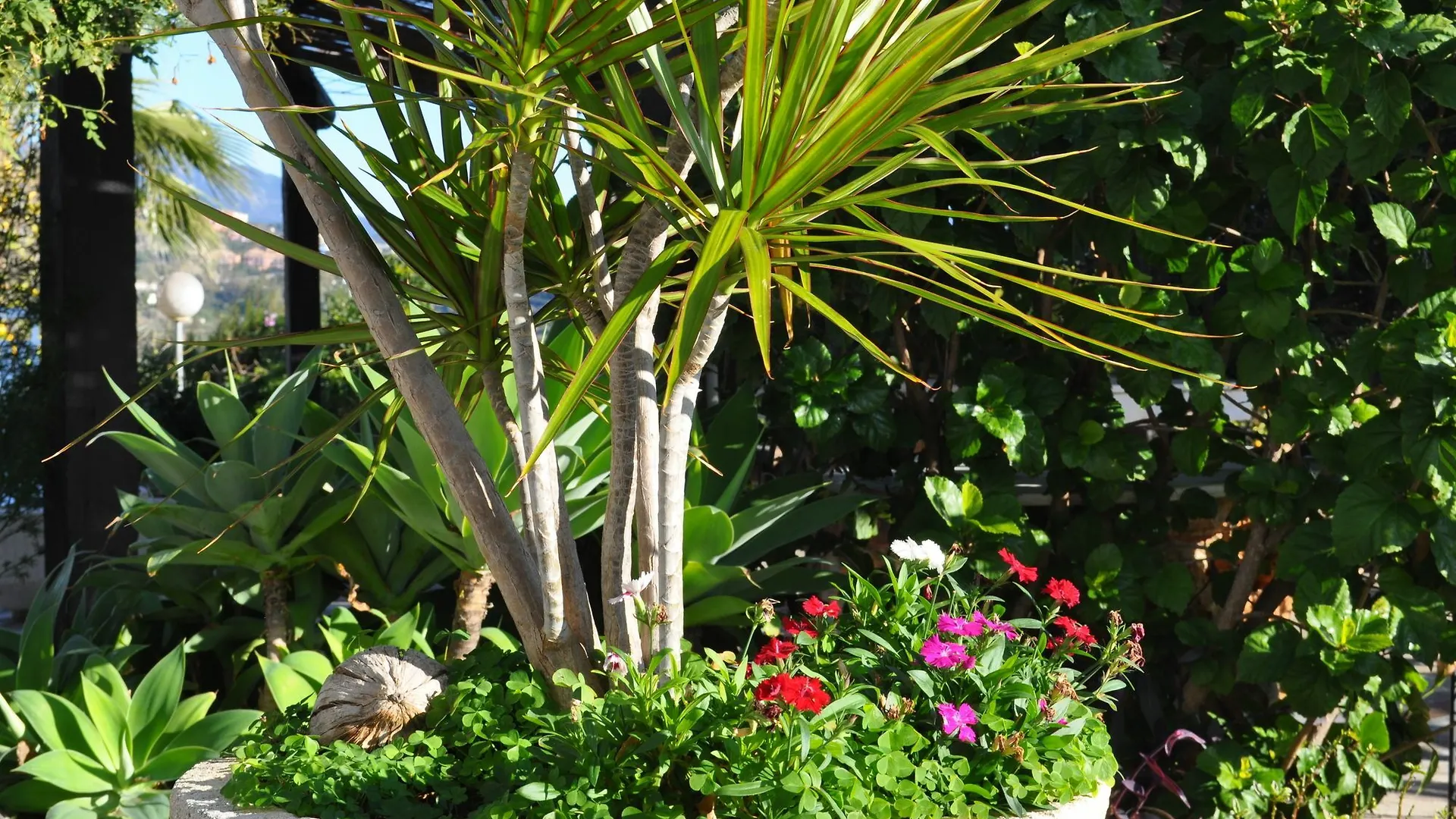 Gasthof Hotel Casa Silca (Adults Only) Marbella